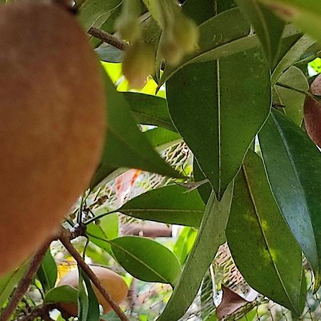 Alappuzha Vivaresidence Homestay מראה חיצוני תמונה