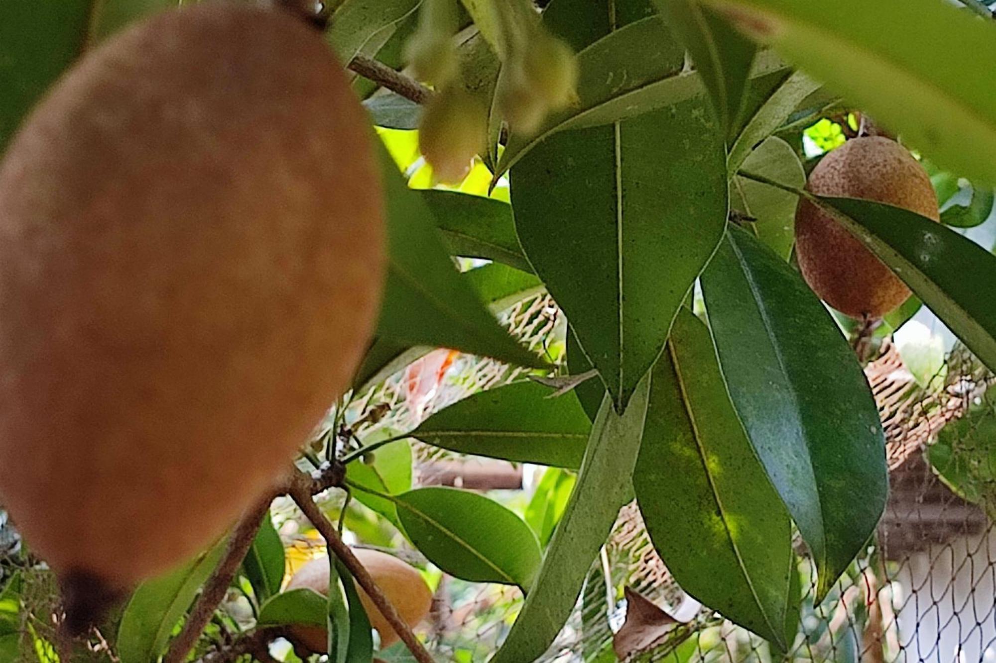 Alappuzha Vivaresidence Homestay מראה חיצוני תמונה