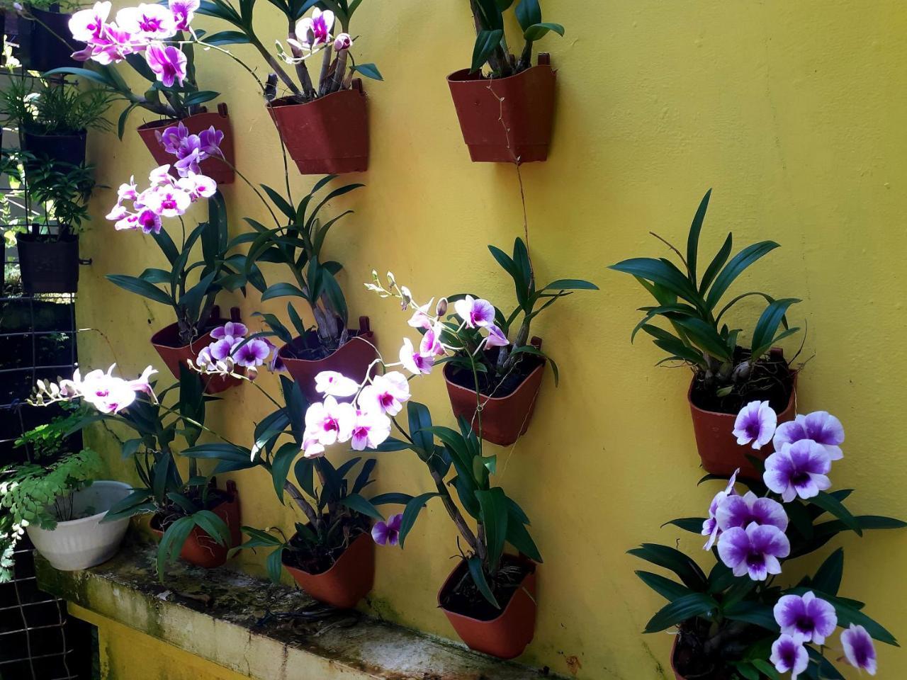 Alappuzha Vivaresidence Homestay מראה חיצוני תמונה